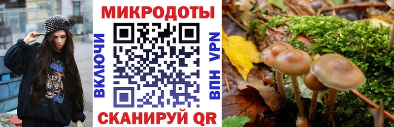 Псилоцибиновые грибы мухоморы  OMG ТОР  Коммунар  наркота 