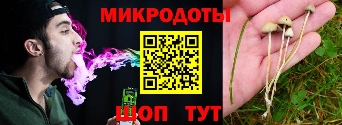 Коммунар  купить закладку  Галлюциногенные грибы Psilocybe  Вход с VPN  Псилоцибиновые грибы прущие грибы 
